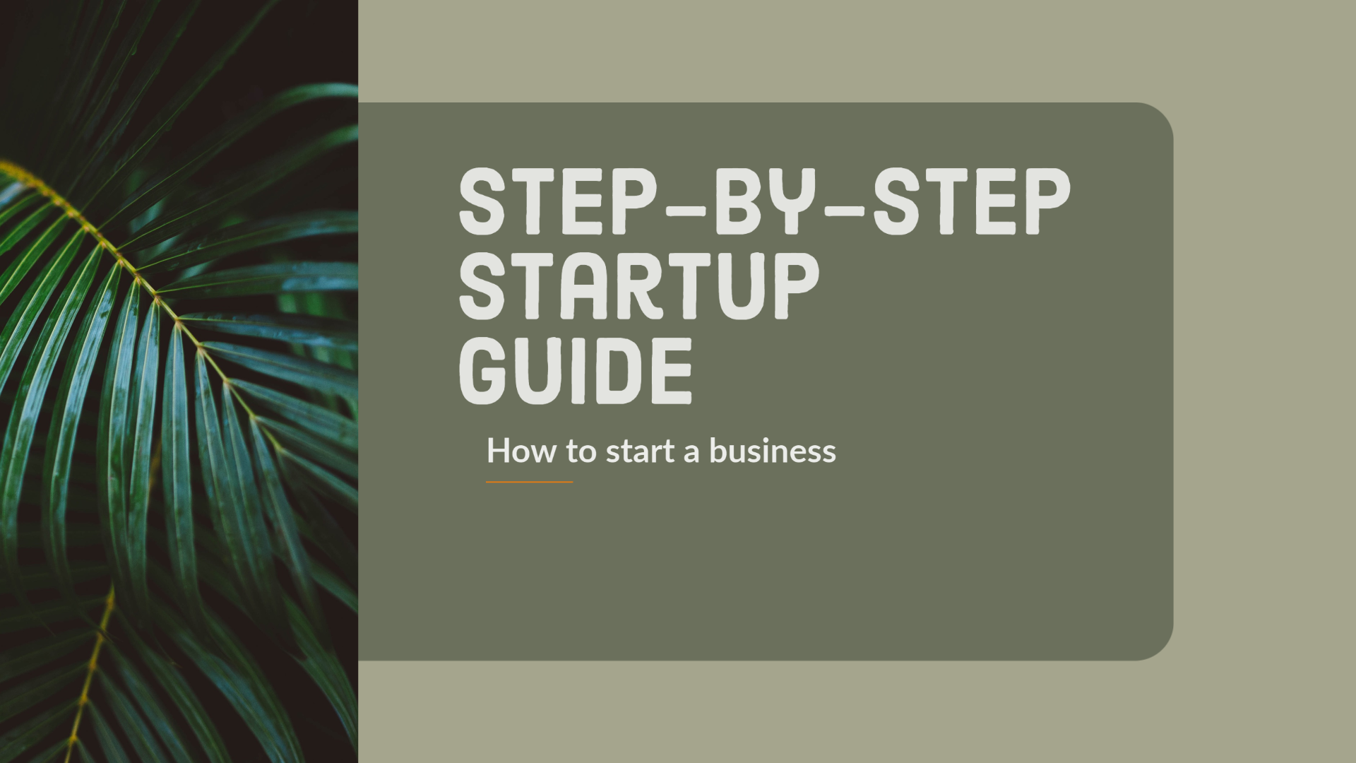 The Step-by-Step Startup Guide: How to start a business
